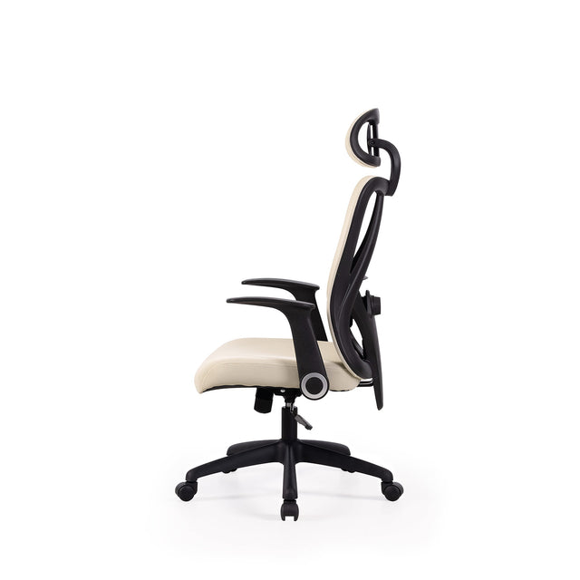 Silla Oficina Montreal Beige | vista secundaria | Somcasa Vlc | 00OF101625 | imagen 2