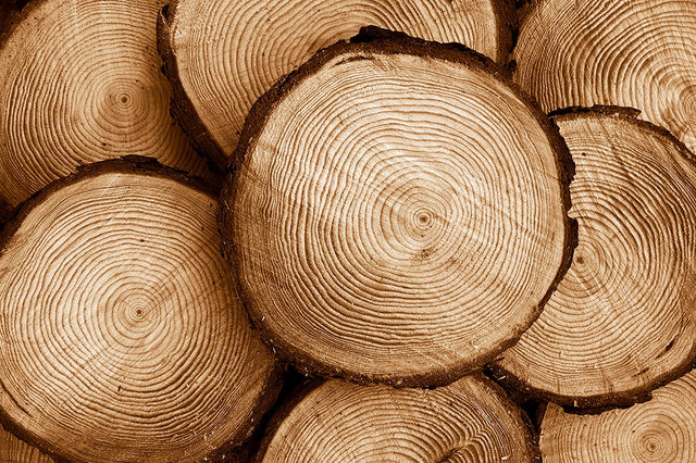 oak furniture minimalist nordic design